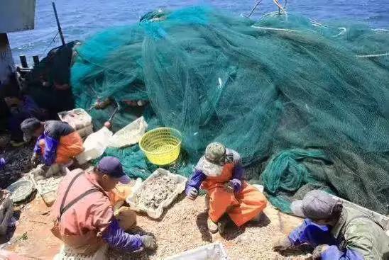 李霸妮的秘密俱乐部