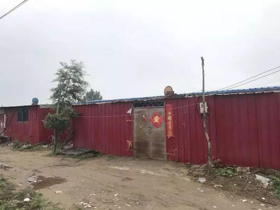 草莓APP直播免费视频