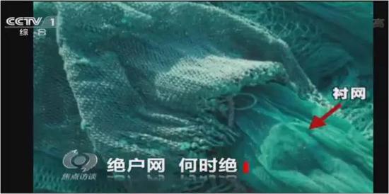 五月天网站在线观看
