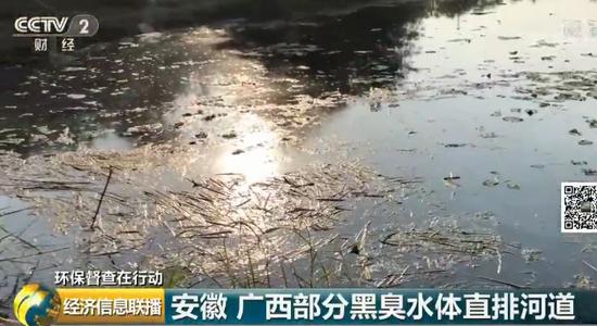 国产精品卡1卡二卡3卡四卡杨紫