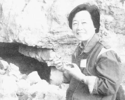 色谱网18十八满