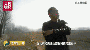 国产大片vs欧美大片在线播放