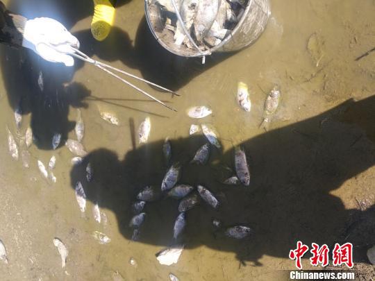 最近2019视频免费观看8