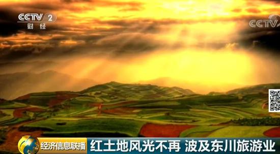 四色在线视频