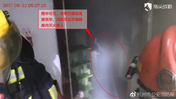 雨燕直播在线观看高清