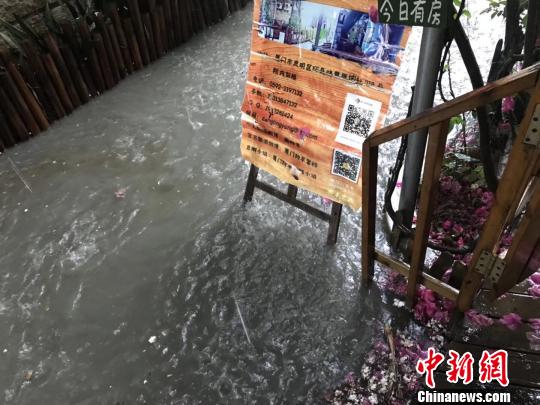 弗洛伦斯格林A级