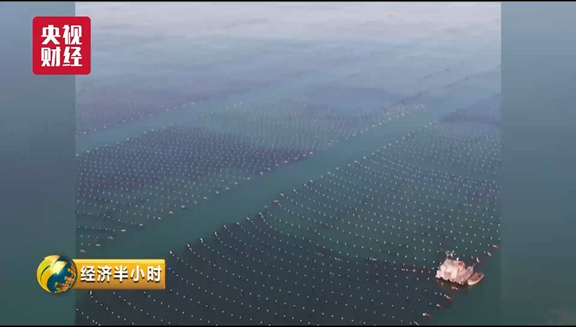 国产无矿转码2022